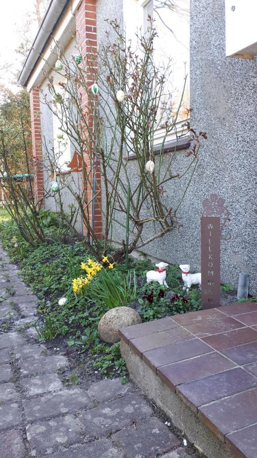 Ferienhaus In Buesumer Deichhausen - Buesum An Der Nordsee Fuer Bis Zu 9 Personen Villa Kültér fotó